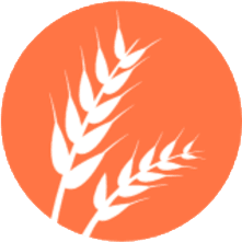 Gluten