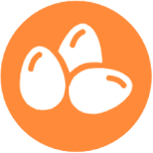 Huevos